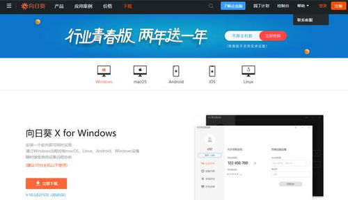 软件服务商如何做好售后远程维护 用它就够了